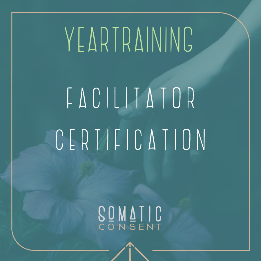 faclitator certification YEARTRAIING
